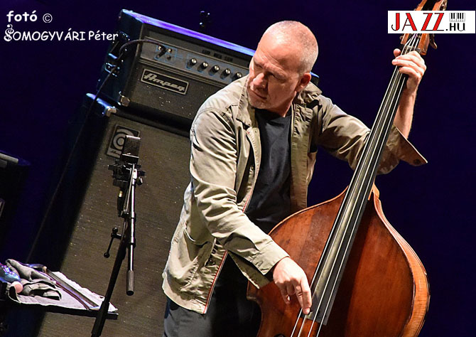 Avishai Cohen