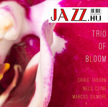 Craig Taborn – Trio Of Bloom