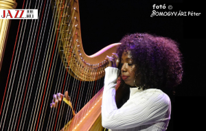 A H&Aacute;RFA OTTHONRA LELT