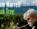Tom Harrell – Oak Tree