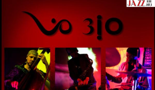 ViO 3iO – ViOlogy